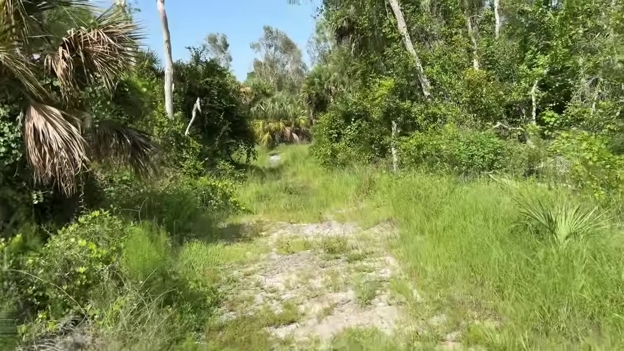 Florida Homeless Built 1 Mile Road From Carpets! Going Inside The Dangerous “Carpet Trails”