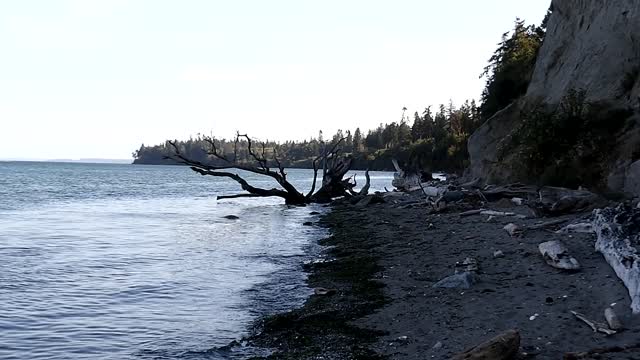 Beach Art East Beach Marrowstone Island. Port Townsend Walks with Reverend Crystal Cox