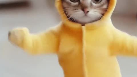 Jumping Cat