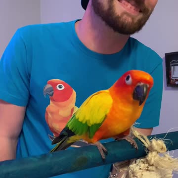 Parrot Dances with His Dad