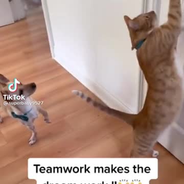 Teamwork make the dream work!