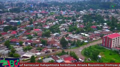 Oduu Waaree ONM-ABO Fulbaana 1-2024 itti dhiyaadhaa!