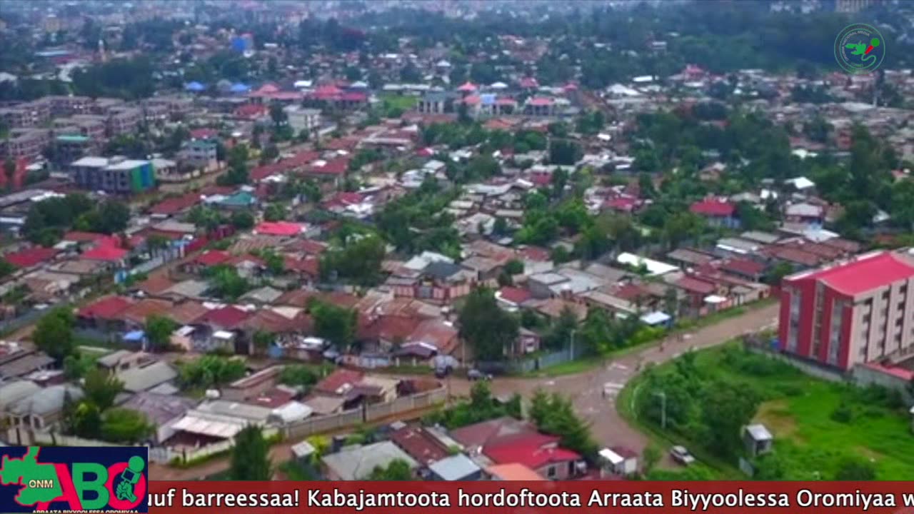 Oduu Waaree ONM-ABO Fulbaana 1-2024 itti dhiyaadhaa!