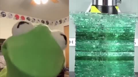 kermit on tik tok funniest videos of september