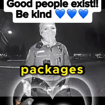 The Heartwarming Tale of the Nicest Cop Ever 🥺 #police #short #fyp
