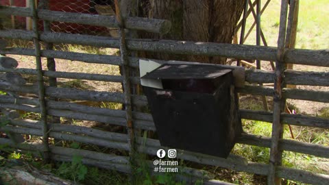 Farmen S14E05