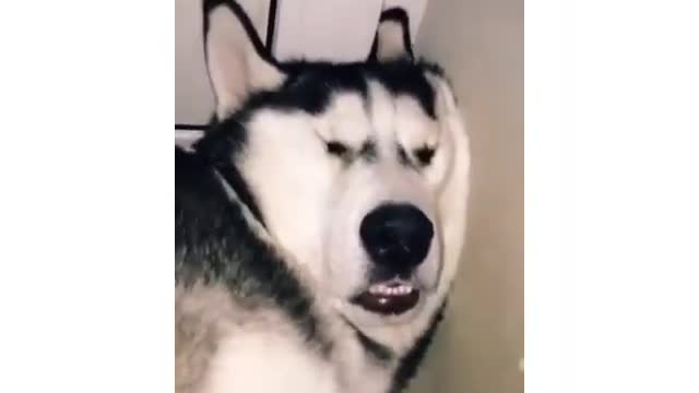 after the night shift