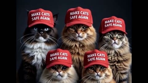 TRUMP said WHAT!!!! Cats, Dogs, and Conspiracies music video