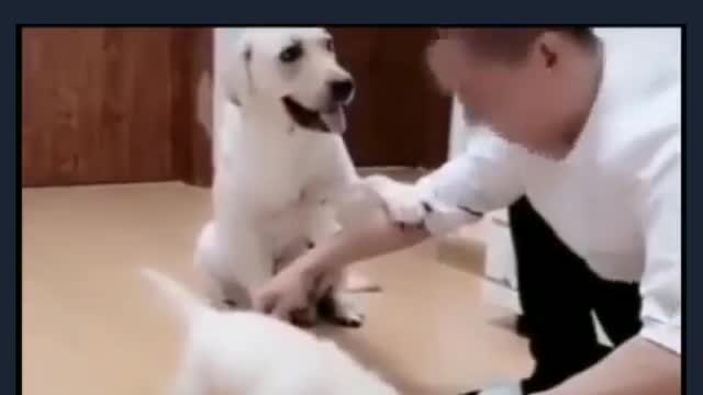 Mother is a mother no matter which form