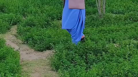 My best video