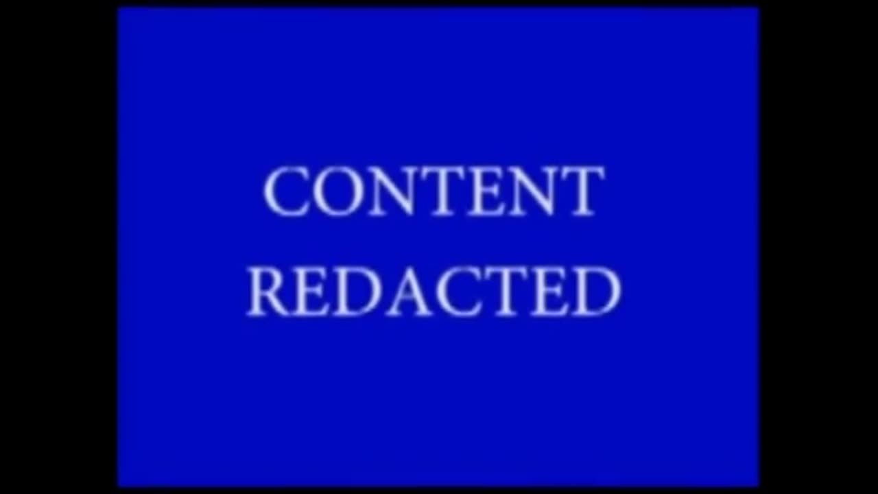 'Sandy Hook Final Report - A Completely Redacted Joke Censored Bull' - 2013