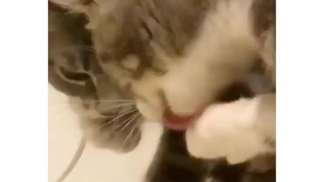 "Подожди, это я?"