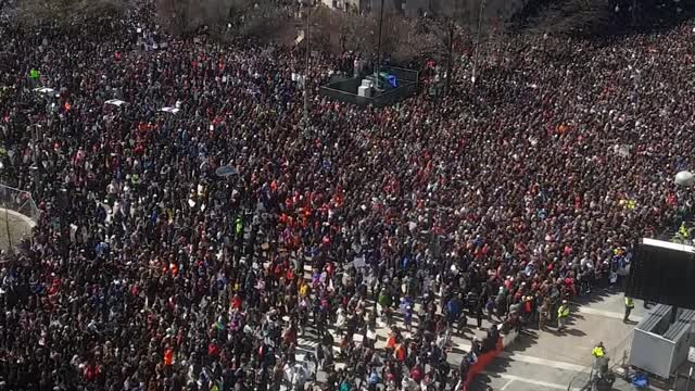 People Flood the Streets of Washington Calling for Gun Reform