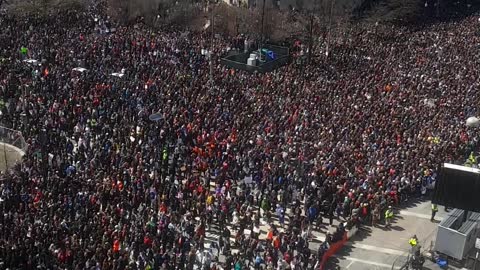 People Flood the Streets of Washington Calling for Gun Reform