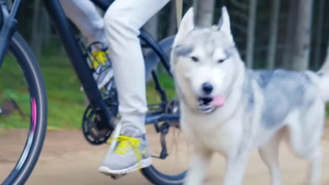WALKING THE DOG