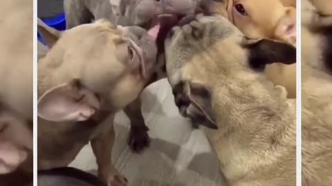 That's a lot of kisses