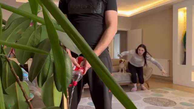 funny|prank|jokes|funny jokes|dad jokes|funny memes|funny video|fun|laughing|funny animal|knock