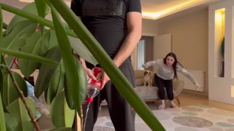 funny|prank|jokes|funny jokes|dad jokes|funny memes|funny video|fun|laughing|funny animal|knock