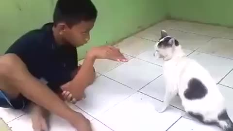 kid anoying an angry cat, and how its ended up