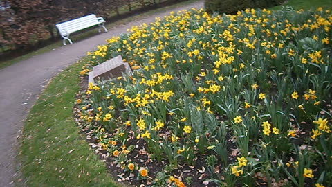 Kvällspromenad i Slottshagen, Helsingborg 12 April 2014