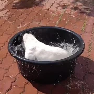 Rinse cycle 🤣🤣🤣🤣🤣