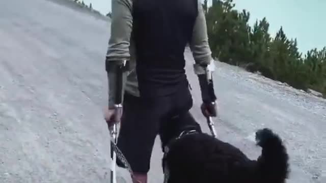 The best leg ever 🐶🦵