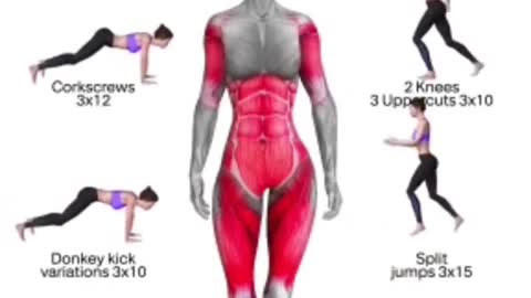 Full Body Exercises At Home