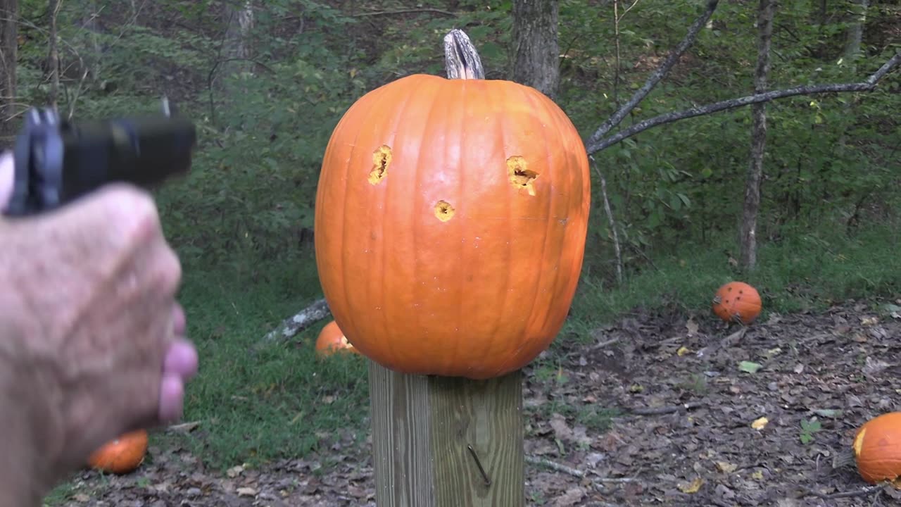 Pumpkin Carving with a Nighthawk Custom 1911 .45 ACP