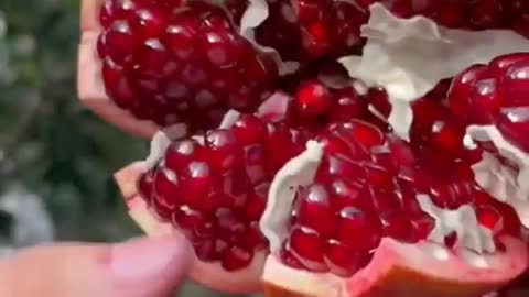 Comment this Fruit Farm