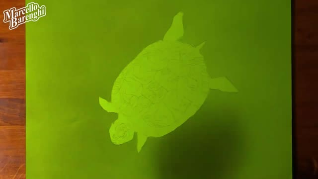 Draw A Picture Of A Turtle