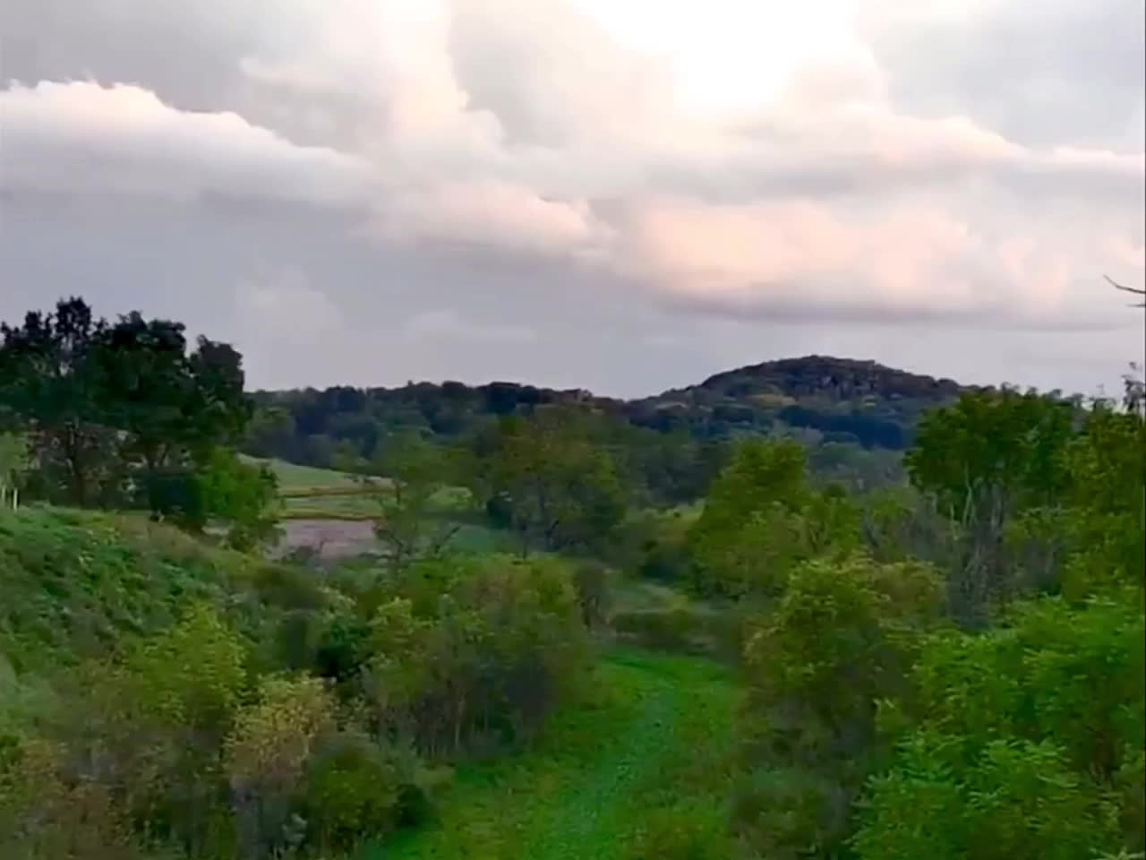 Arial Landscape Green Field