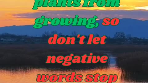 Dirty water doesn't stop plants from growing, so don't let negative words stop..