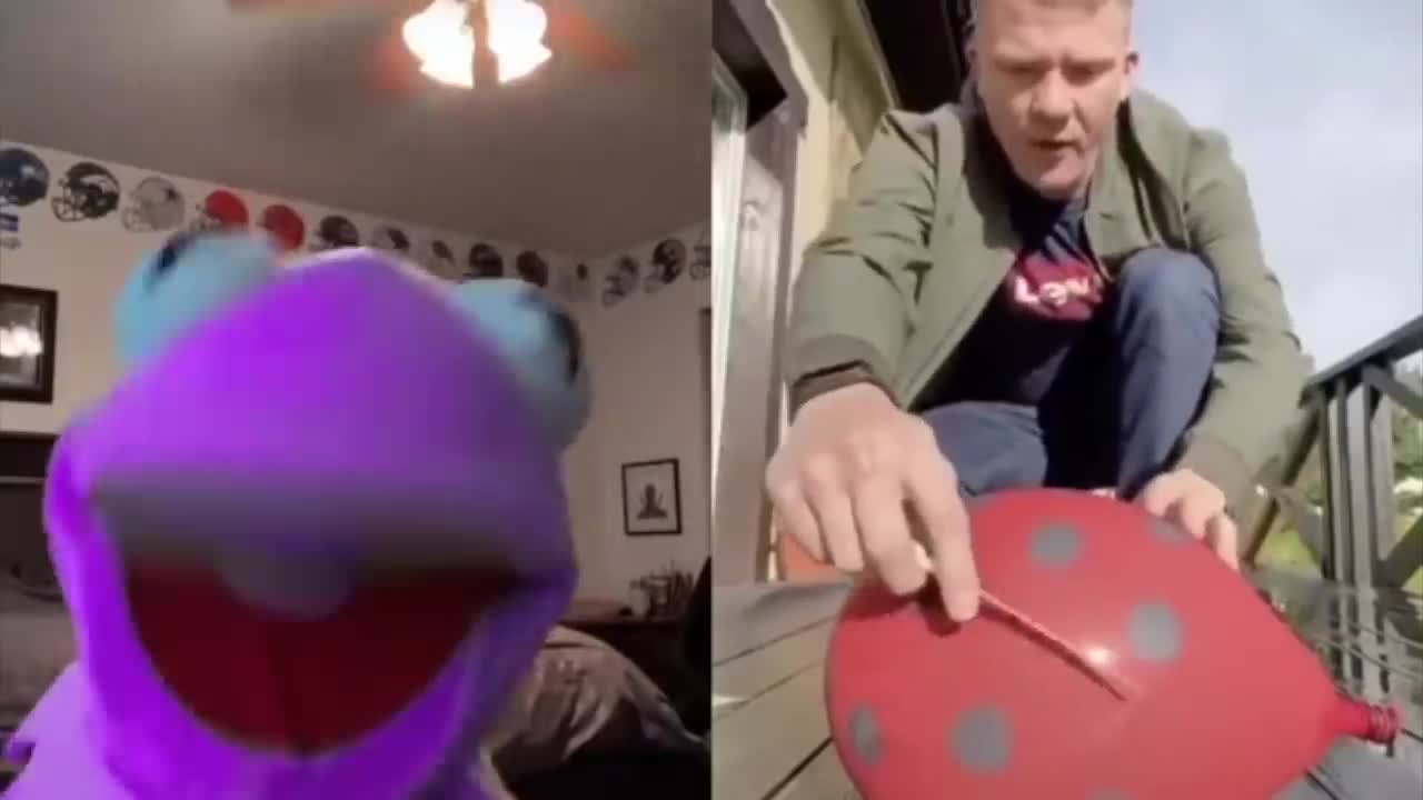 kermitontiktok FUNNIEST VIDEOS OF SEPTEMBER