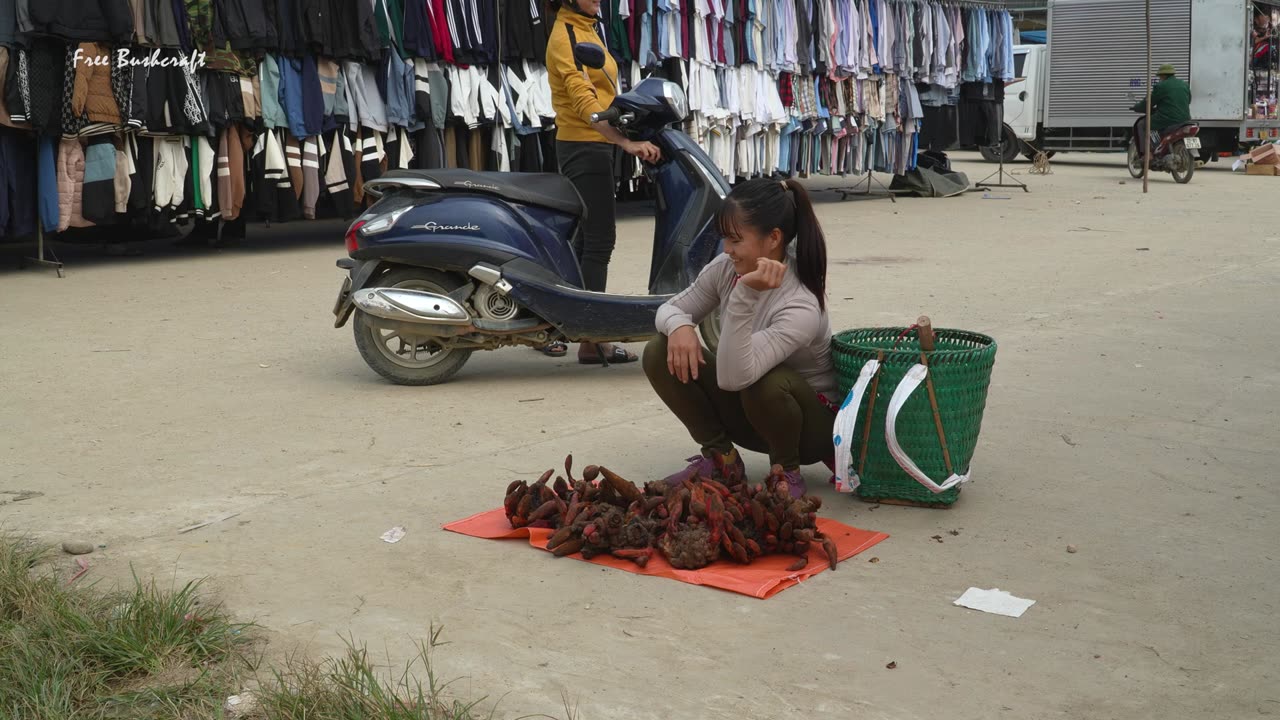 Harvesting Wild Mushroom Goes To Market Sell, Live With Nature