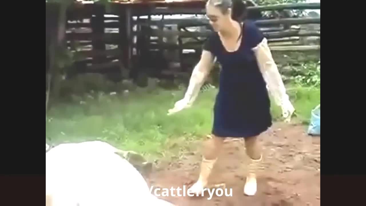 funny animal videos | video of funny clips