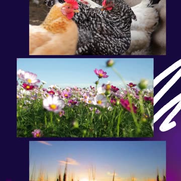 Own Your Land Stress-Free with Flexible Payment Options!