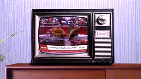 BREAKING : COVID DEATHS ARE NOT AS HIGH AS MSM ARE TELLING YOU !!! TNTV