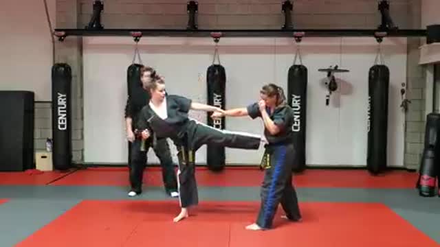 Hapkido