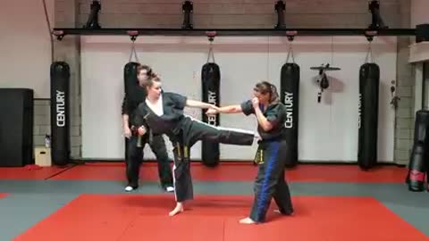Hapkido