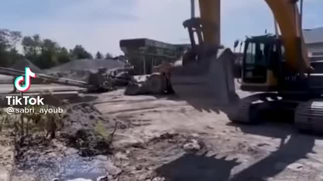 Sabri Virals ' lucky dog saved from real death '