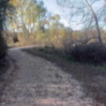 The Lord who sustains us 🙏🏼