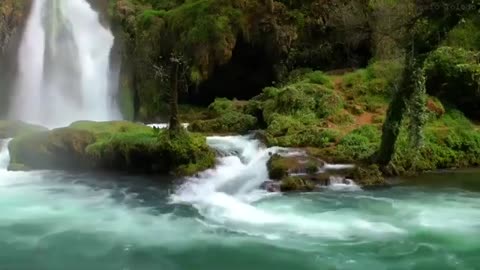 1 Hour Relaxing Music Stress Relief Relaxing Music with Nature Sounds #Meditation​ #Relaxing​ #C​