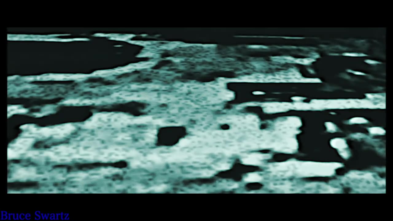 Ufo changes Directions on the Moon & Living organisms in the Lunar Atmosphere