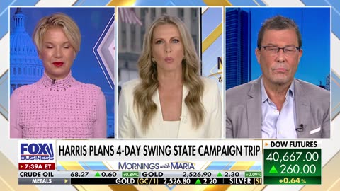 Democrat strategist professes the party's 'big mistake'