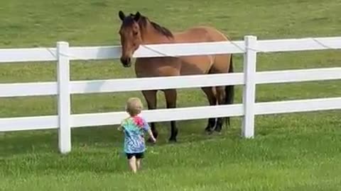 His Horse Friends