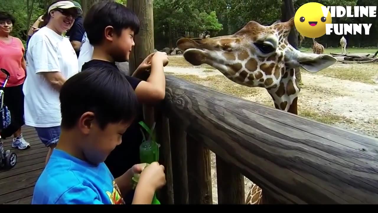 Funniest fails and animal reactions in the zoo! 😂😂 TRY NOT TO LAUGH COMPILATION 95% FAIL