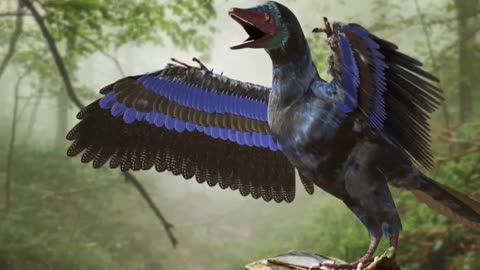 How Bizzare The Extinct The Archaeopteryx Is!