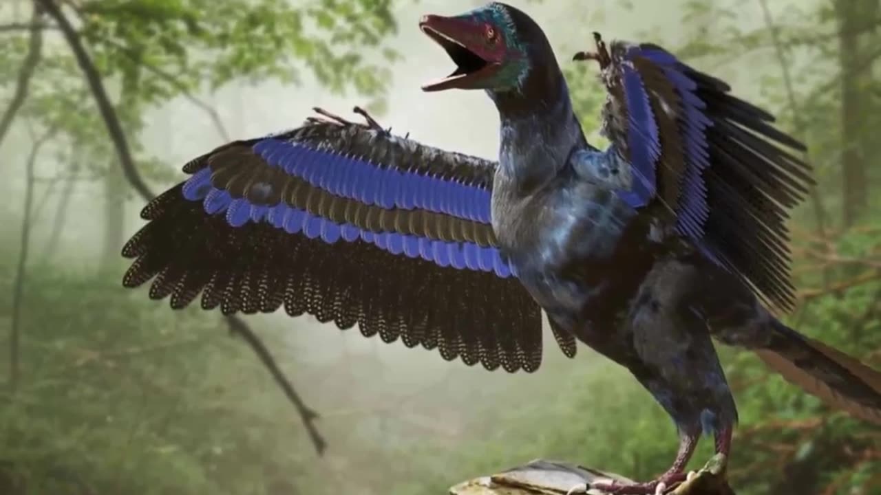 How Bizzare The Extinct The Archaeopteryx Is!