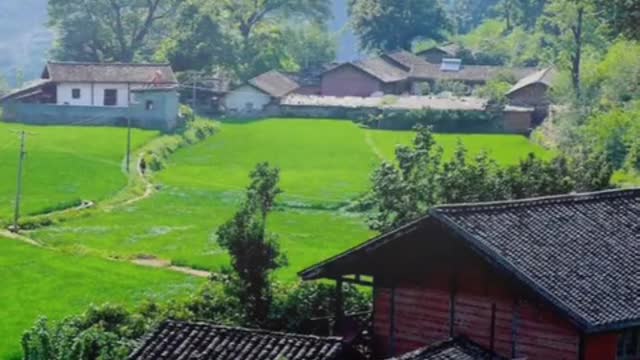 Comfortable country life