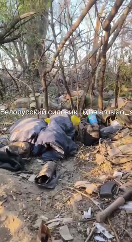 Ukraine war combat footage 11/15/24 Kursk incursion 18++